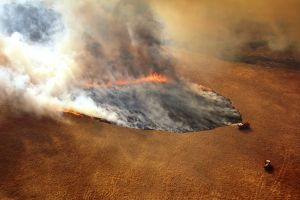 Australia płonie. Nastoletni wolontariusz oskarżony o 7 podpaleń