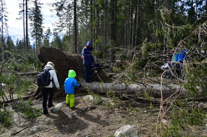 Zakopane halny