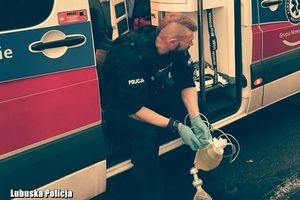 Wypadek Cibórz - Skąpe. Policja udostępniła nagranie i zdjęcia. Jedno z nich poruszyło internautów