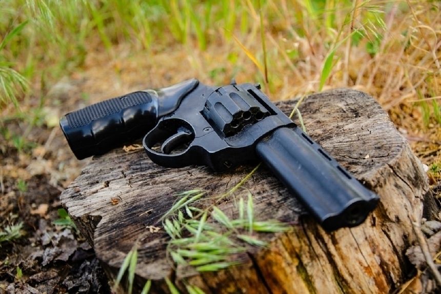 Pistolet w lesie