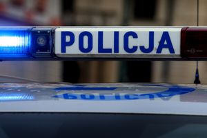 policja