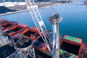 Gdańsk. Aktywiści Greenpeace weszli na żurawie