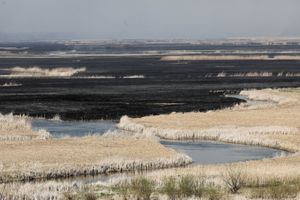 Pożar w Biebrzańskim Parku Narodowym