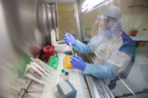 ebola