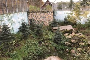Prywatne zoo w Człuchowie