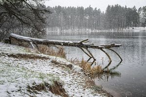 Pogoda w niedzielę 29 marca. Sypnie śniegiem, uwaga na porywisty wiatr