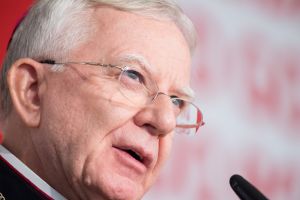 Abp Jędraszewski straszył ekologizmem, teraz mówi, czym jest ekologiczne nawrócenie