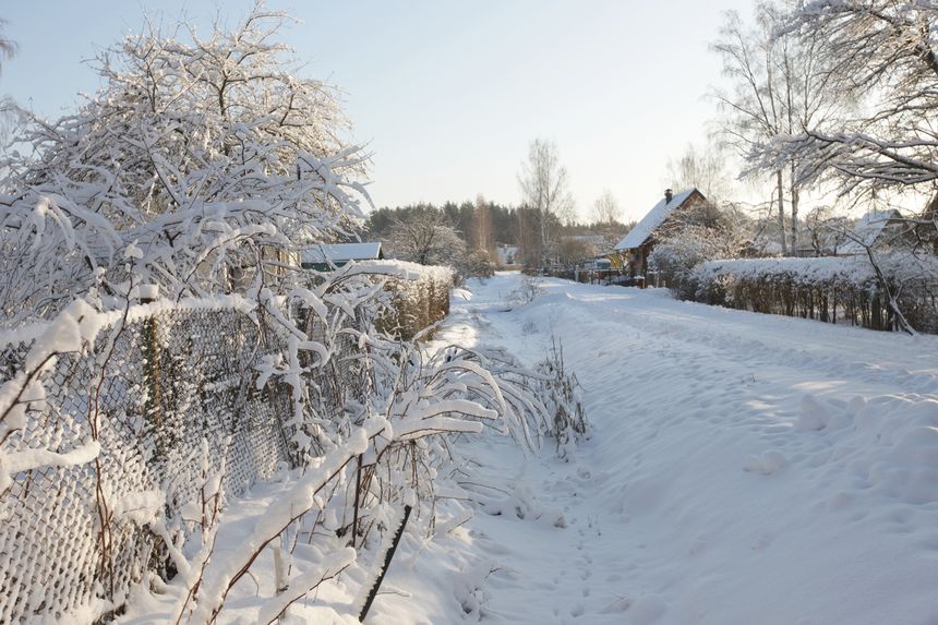 Zamarznięcie