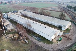 Ptasia grypa w Topoli w Wielkopolsce. Zagazują ponad 60 tysięcy kur