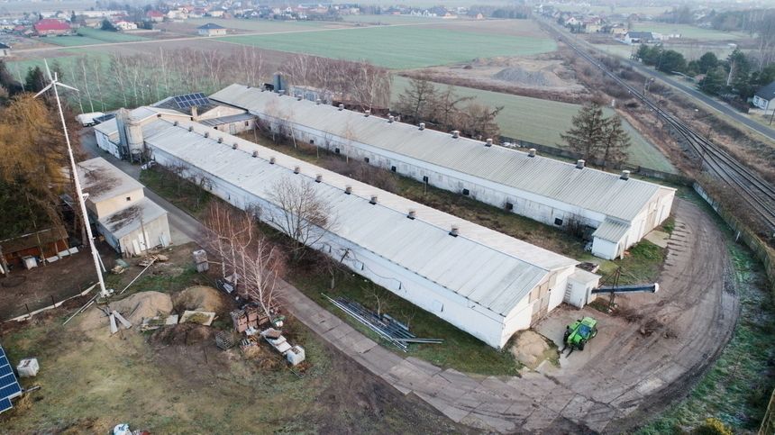 Ptasia grypa w Topoli w Wielkopolsce. Zagazują ponad 60 tysięcy kur
