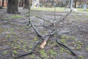 Pogoda. Przymrozki, wiatr i sztorm. W niedzielę wieczorem załamanie pogody