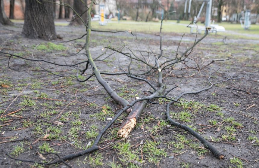 Pogoda. Przymrozki, wiatr i sztorm. W niedzielę wieczorem załamanie pogody