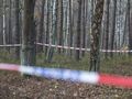 Lubelskie. Mężczyzna brutalnie zgwałcony przez Białorusinkę. W lesie znaleziono jego ciało
