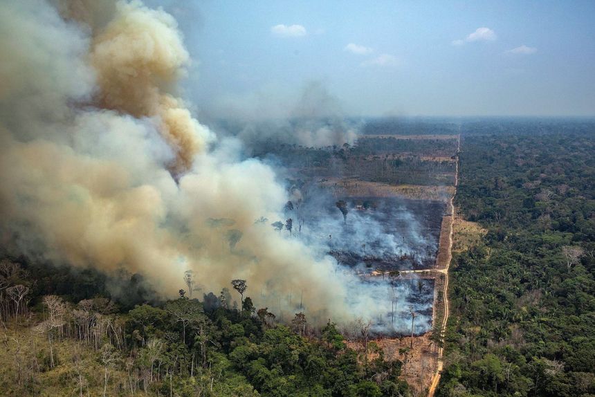 Amazonia pożar 2019. Papież Franciszek modlił się o ugaszenie pożarów
