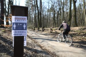 Od poniedziałku otwarte lasy - co można robić? Pogoda może utrudnić dostęp do lasów