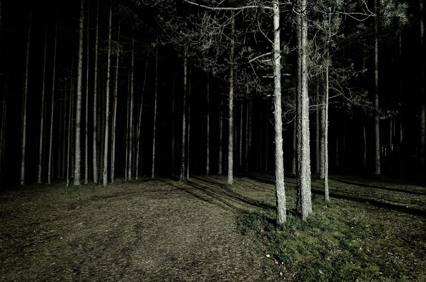 Wyrok w sprawie zabójstwa
