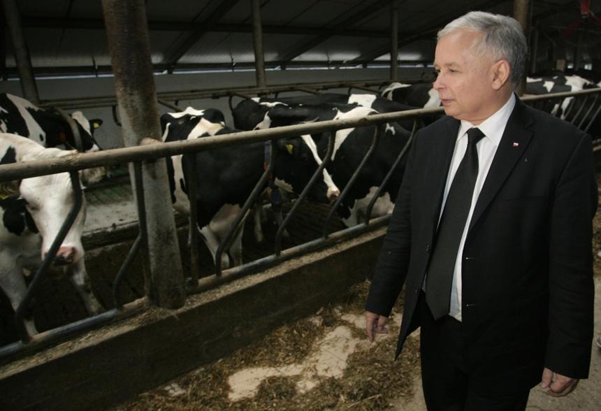 Jarosław Kaczyński 