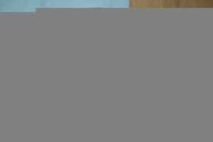 Bartłomiej Misiewicz