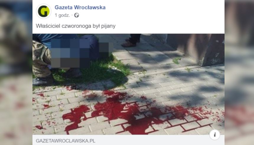 Dolnośląskie. Pies zaatakował kobietę w Miliczu
