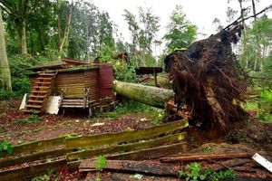 Gdzie jest burza? Radar. Przez Złocieniec (zachodniopomorskie) przeszła trąba powietrzna