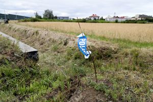Węzeł Pruszków, Konotopa, gdzie szukano Dawida  Ż,