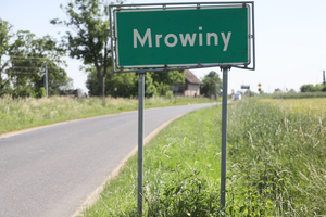 Mrowiny 