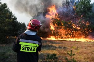 Pożar w Bydgoszczy. Płonie las w okolicach Doliny Śmierci w Fordonie