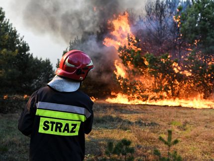 Pożar w Bydgoszczy. Płonie las w okolicach Doliny Śmierci w Fordonie
