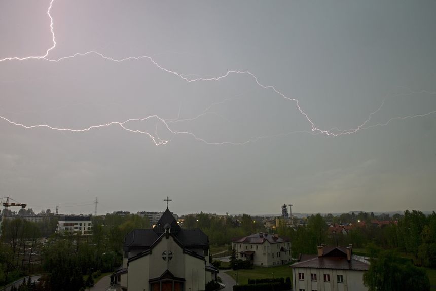Zimni ogrodnicy i zimna Zośka w Polsce