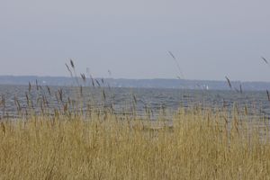 Zalew