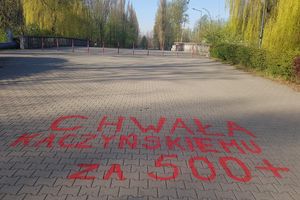 Sosnowiec park Stawiki