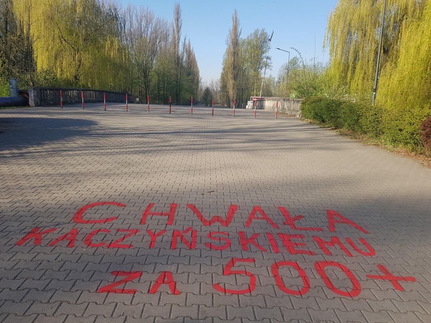 Sosnowiec park Stawiki