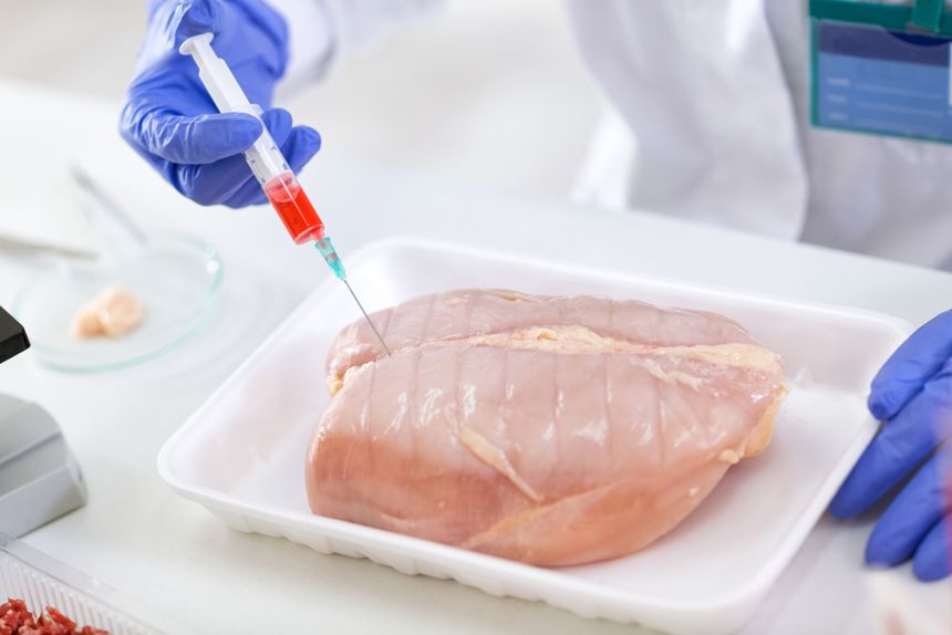 Salmonella w polskim drobiu