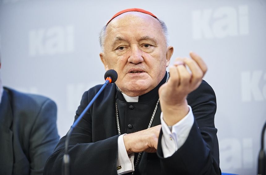 kard. nycz pedofilia w kościele|undefined
