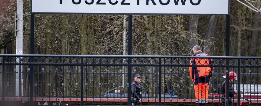 Wypadek w Puszczykowie