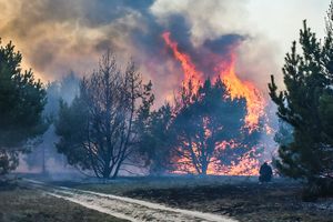 Pogoda. Susza daje się we znaki. Zagrożenie pożarowe na zachodzie Polski