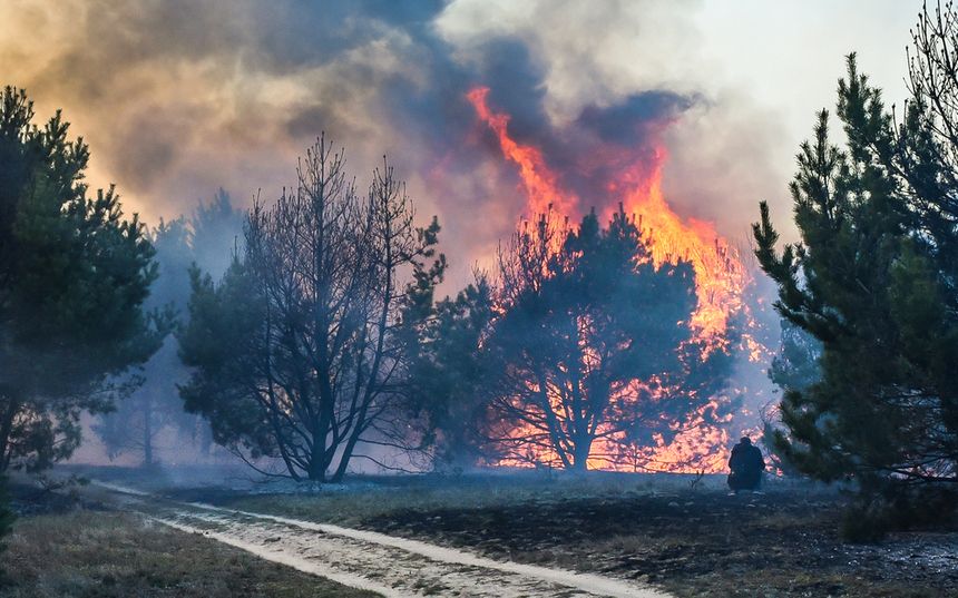 Pogoda. Susza daje się we znaki. Zagrożenie pożarowe na zachodzie Polski