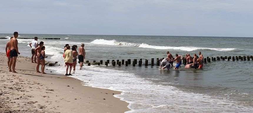 Łańcuch życia na plaży