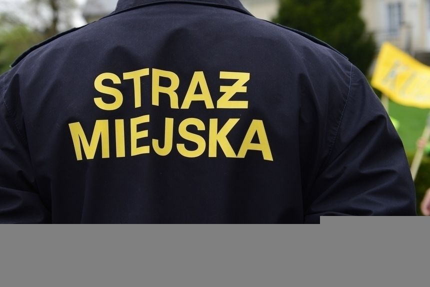 straz miejska|undefined