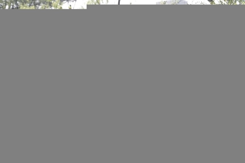 Kim Dzong Un|undefined