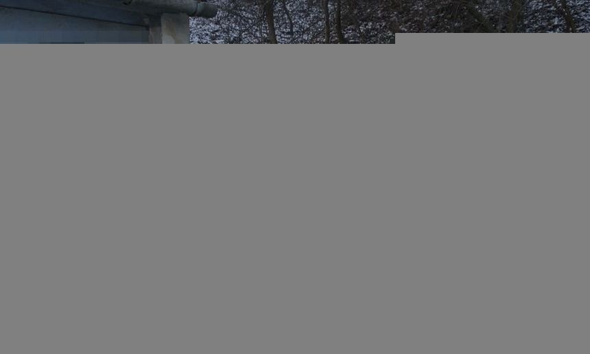 Policja|undefined