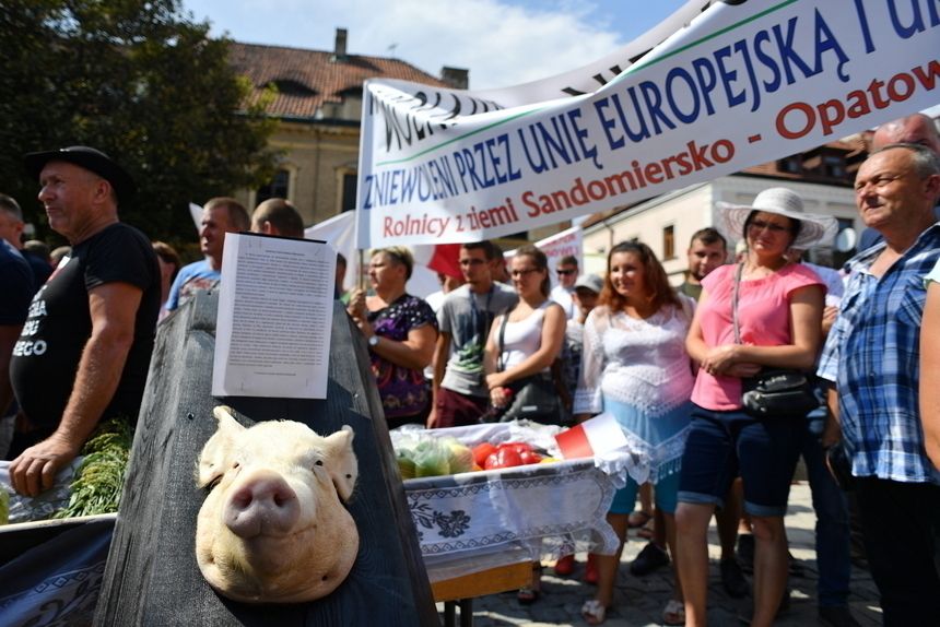 Sandomierz. Kłótnia ministra ronictwa Jana Ardanowskiego z rolnikami|undefined