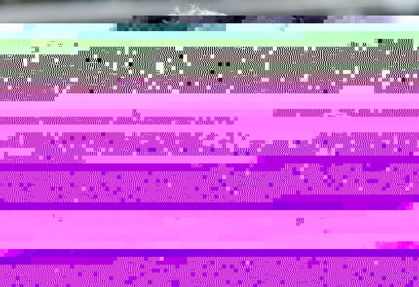 Kogut|undefined