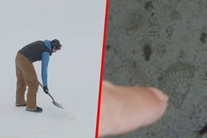 Odwiert na Antarktydzie
