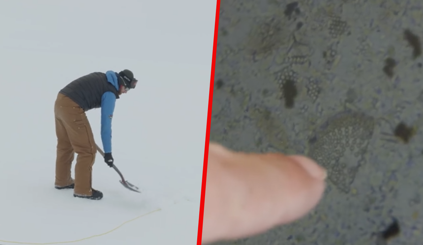 Odwiert na Antarktydzie