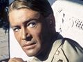 Peter O'Toole w 