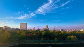 Osaka dostała złoto