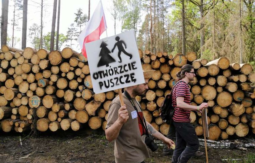 Ksiądz twierdzi, że napadli go ekolodzy w Puszczy Białowieskiej.|undefined