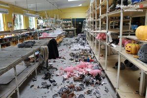 Tarnowskie Góry. Ukrainiec zdemolował fabrykę na 25 tysięcy złotych|undefined