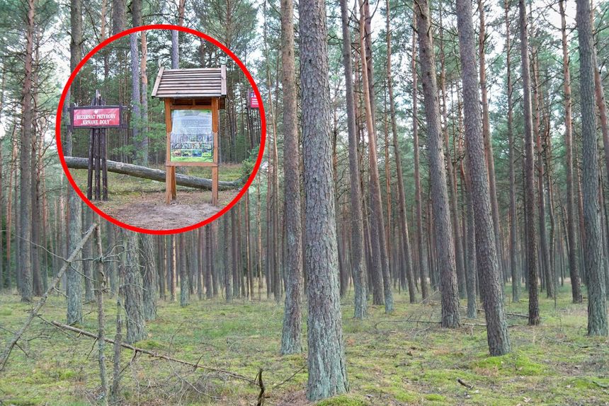 Rezerwat przyrody Krwawe Doły